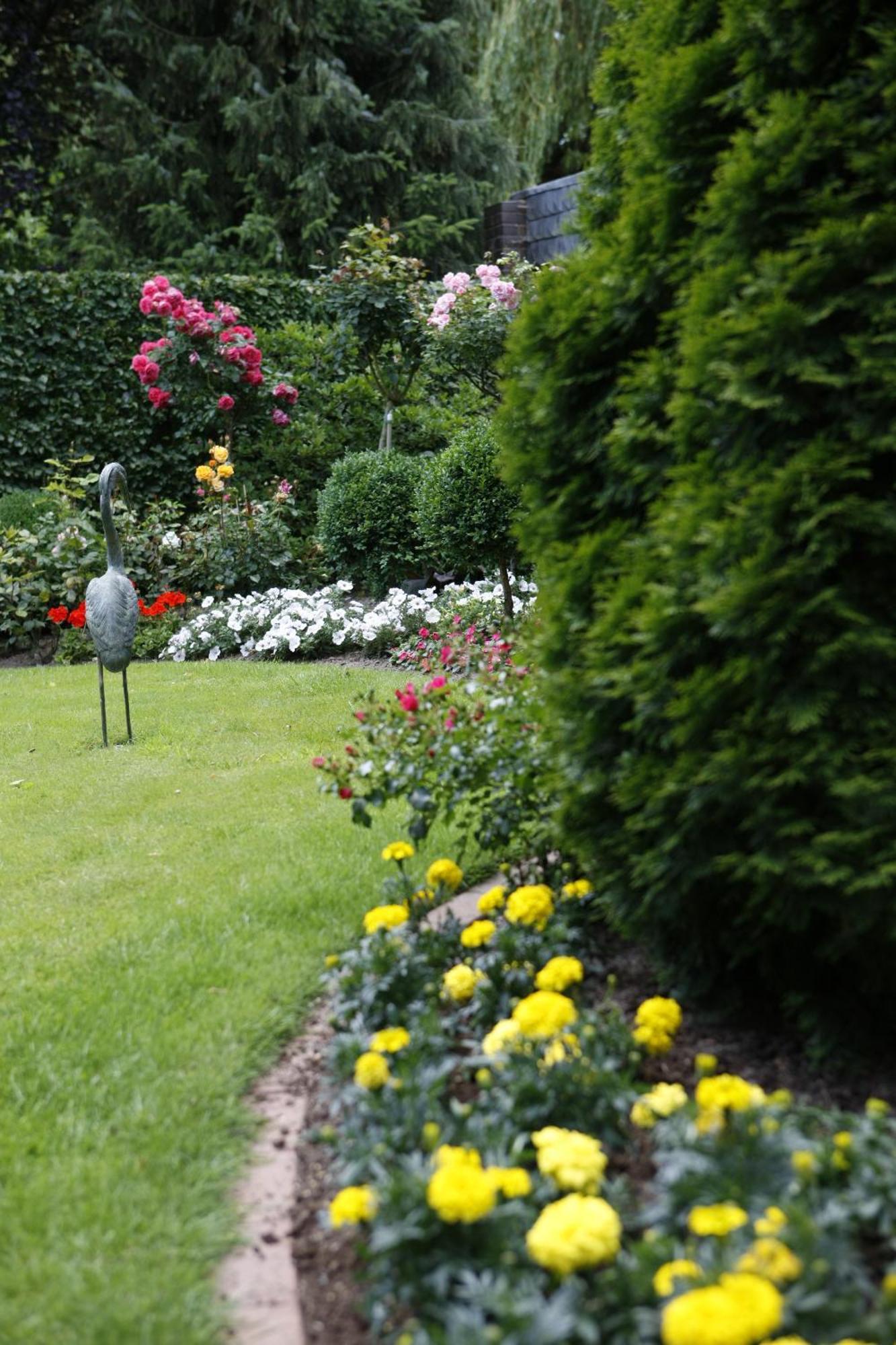 Pension Haus Wernemann Bad Rothenfelde Buitenkant foto