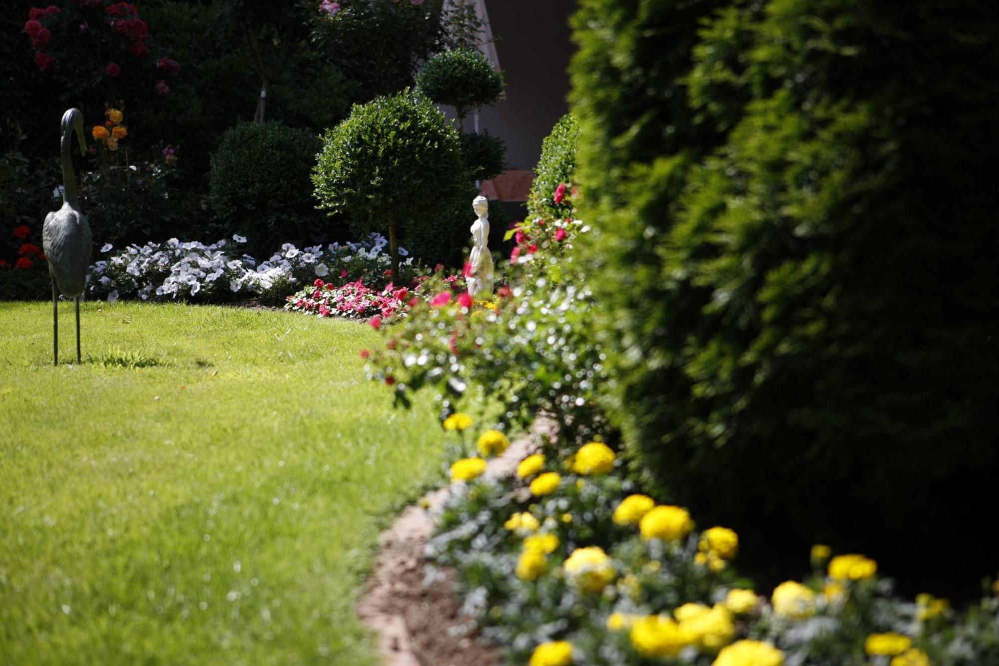 Pension Haus Wernemann Bad Rothenfelde Buitenkant foto
